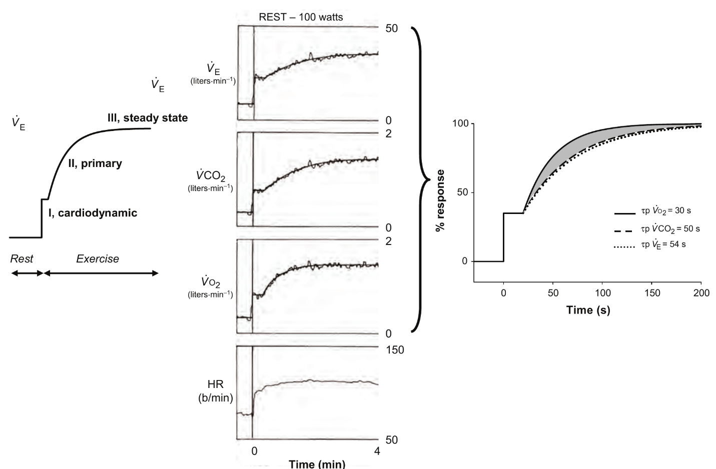 Research figure comparing ventilation, CO2, VO2 and heart rate