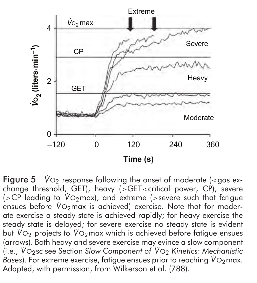 Oxygen uptake responses during moderate, heavy, severe and extreme exercise.